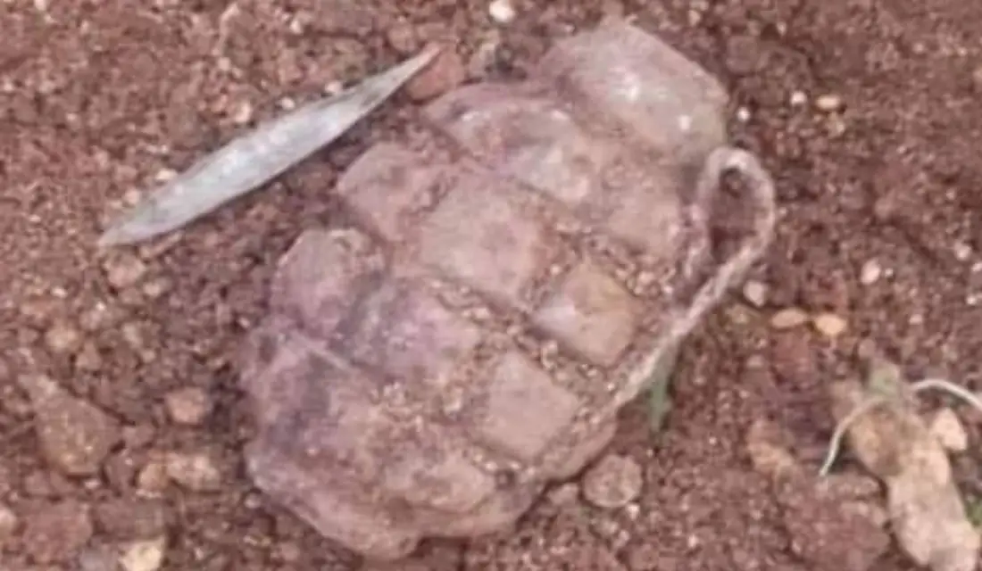 شرطة تعز تضبط متهمين أثنين في تفجير قنبلة يدوية وترويع المواطنين Image